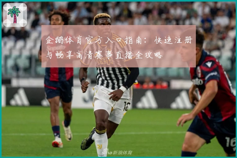 企鹅体育官方入口指南：快速注册与畅享高清赛事直播全攻略