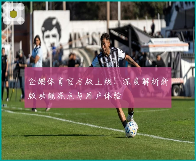 企鹅体育官方版上线！深度解析新版功能亮点与用户体验