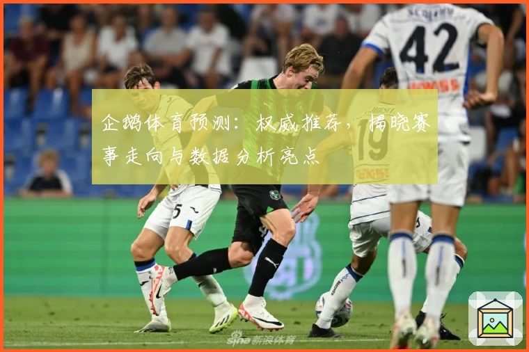 企鹅体育预测：权威推荐，揭晓赛事走向与数据分析亮点