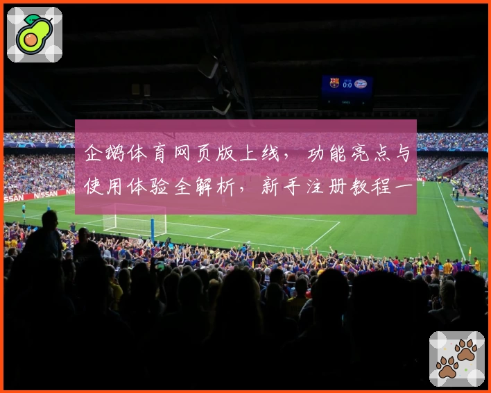 企鹅体育网页版上线,功能亮点与使用体验全解析,新手注册教程一看就会