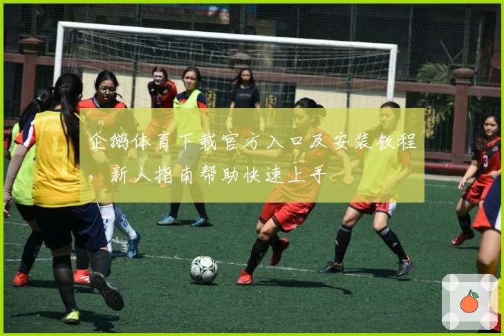 企鹅体育下载官方入口及安装教程，新人指南帮助快速上手