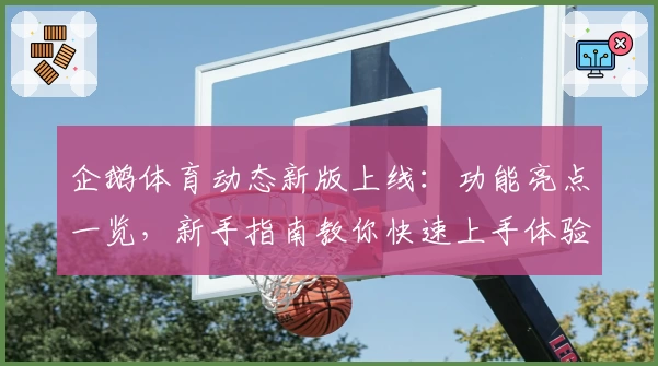 企鹅体育动态新版上线:功能亮点一览,新手指南教你快速上手体验