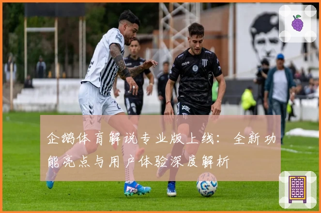 企鹅体育解说专业版上线:全新功能亮点与用户体验深度解析