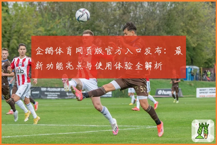 企鹅体育网页版官方入口发布：最新功能亮点与使用体验全解析
