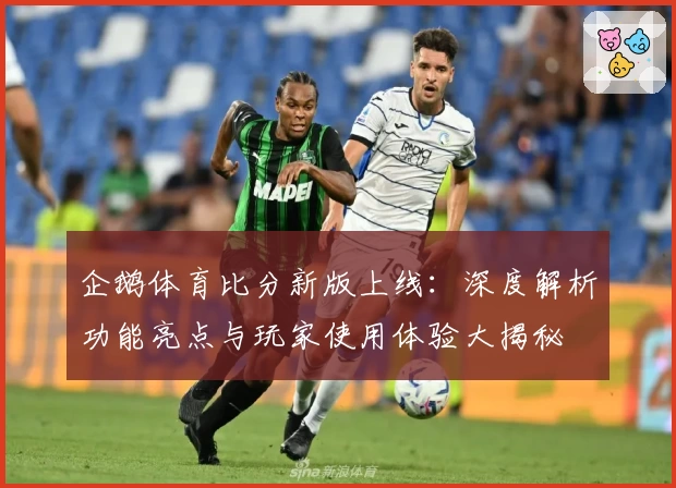 企鹅体育比分新版上线:深度解析功能亮点与玩家使用体验大揭秘