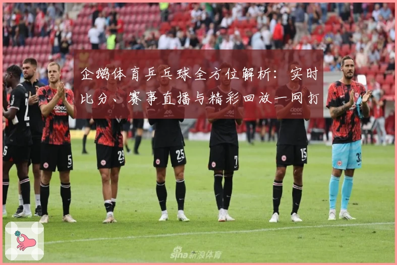 企鹅体育乒乓球全方位解析：实时比分、赛事直播与精彩回放一网打尽