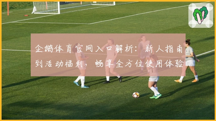 企鹅体育官网入口解析：新人指南到活动福利，畅享全方位使用体验