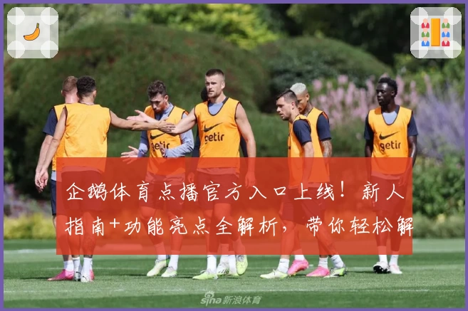 企鹅体育点播官方入口上线！新人指南+功能亮点全解析，带你轻松解锁精彩赛事